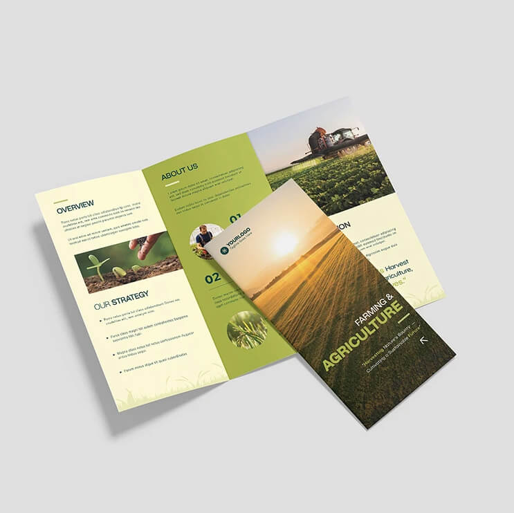Brochure Printing