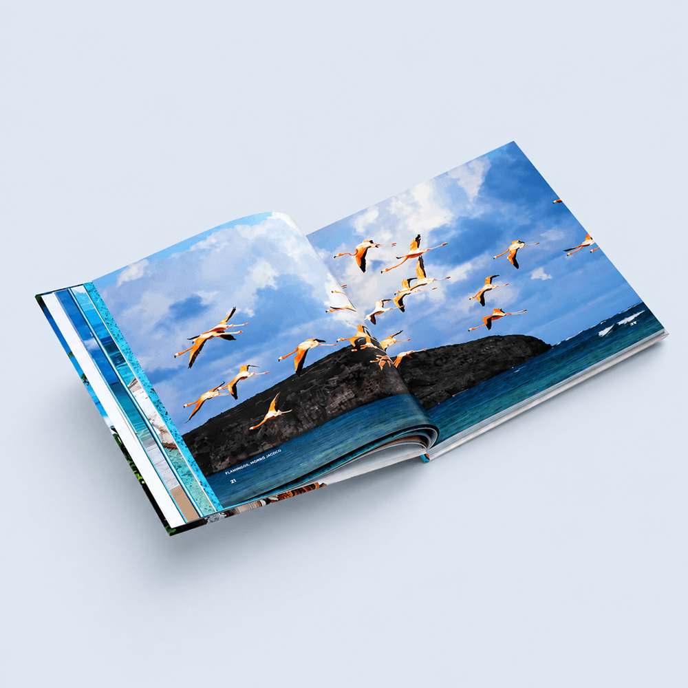 Coffee Table Book